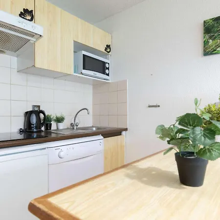 Apartment 8 Personnes Avec Balcon Sud, Navette Telecabine A Proximite, - Fr-1-296-388 Saint-Lary-Soulan